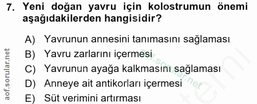 7. soru: Yeni doğan yavru için kolostrumun önemi aşağıdakilerden hangisidir? A) Yavrunun annesini tanımasını sağlaması B) Yavr…
