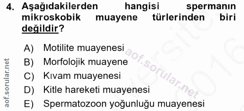 4. soru: Aşağıdakilerden hangisi spermanın mikroskobik muayene türlerinden biri değildir? A) Motilite muayenesi B) Morfolojik…