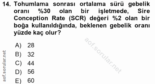 14. soru: Tohumlama sonrası ortalama sürü gebelik oranı %30 olan bir işletmede, Sire Conception Rate (SCR) değeri %2 olan bir b…