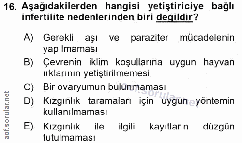 16. soru: Aşağıdakilerden hangisi yetiştiriciye bağlı infertilite nedenlerinden biri değildir? A) Gerekli aşı ve paraziter müca…