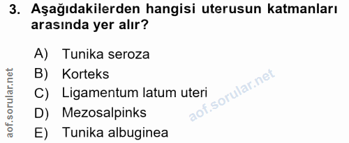 3. soru: Aşağıdakilerden hangisi uterusun katmanları arasında yer alır? A) Tunika seroza B) Korteks f. C) Ligamentum latum ute…