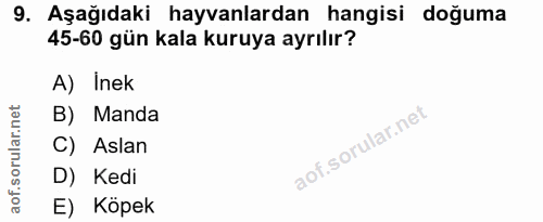 9. soru: Aşağıdaki hayvanlardan hangisi doğuma 45-60 gün kala kuruya ayrılır? A) Inek B) Manda C) Aslan D) Kedi E) Köpek