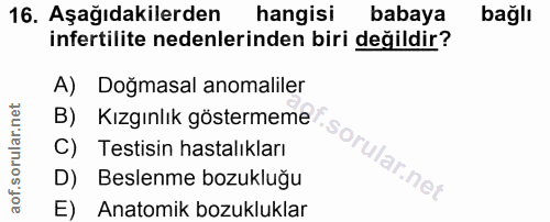 16. soru: Aşağıdakilerden hangisi babaya bağlı infertilite nedenlerinden biri değildir? A) Doğmasal anomaliler B) Kızgınlık gös…
