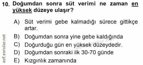 10. soru: Doğumdan sonra süt verimi ne zaman en yüksek düzeye ulaşır? A) Süt verimi gebe kalmadığı sürece gittikçe artar. B) Do…