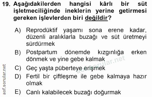 19. soru: Aşağıdakilerden hangisi kârlı bir süt işletmeciliğinde ineklerin yerine getirmesi gereken işlevlerden biri değildir?…