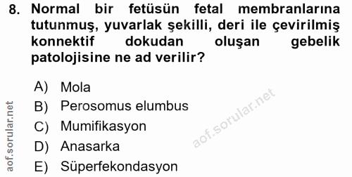 8. soru: Normal bir fetüsün fetal membranlarina tutunmuş, yuvarlak şekilli, deri ile çevirilmiş konnektif dokudan oluşan gebel…