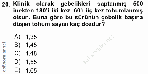 20. soru: Klinik olarak gebelikleri saptanmış 500 inekten 180'i iki kez, 60'ı üç kez tohumlanmış olsun. Buna göre bu sürünün ge…