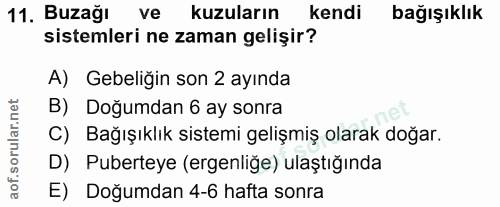 11. soru: Buzağı ve kuzuların kendi bağışıklık sistemleri ne zaman gelişir? A) Gebeliğin son 2 ayında B) Doğumdan 6 ay sonra C)…