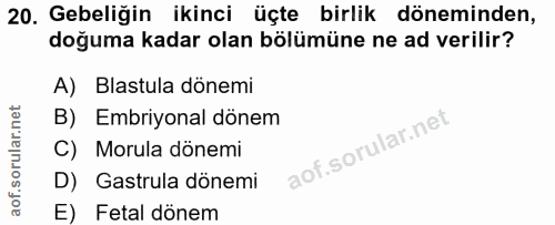 20. soru: Gebeliğin ikinci üçte birlik döneminden, doğuma kadar olan bölümüne ne ad verilir? A) Blastula dönemi B) Embriyonal d…