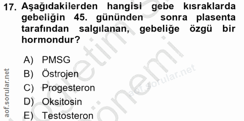17. soru: Aşağıdakilerden hangisi gebe kısraklarda gebeliğin 45. gününden sonra plasenta tarafından salgılanan, gebeliğe özgü b…