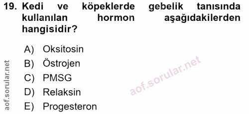 19. soru: Kedi ve köpeklerde gebelik tanısında kullanılan hormon aşağıdakilerden hangisidir? A) Oksitosin B) Östrojen C) PMSG D…