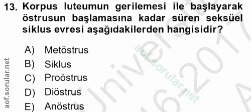 13. soru: Korpus luteumun gerilemesi ile başlayarak östrusun başlamasına kadar süren seksüel siklus evresi aşağıdakilerden hang…