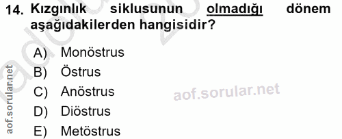 14. soru: Kızgınlık siklusunun olmadığı dönem aşağıdakilerden hangisidir? A) Monöstrus B) Östrus C) Anöstrus D) Diöstrus E) Met…