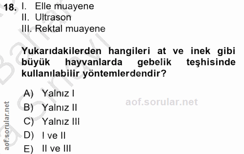 18. soru: I. Elle muayene Il. Ultrason Ill. Rektal muayene Yukarıdakilerden hangileri at ve inek gibi büyük hayvanlarda gebelik…