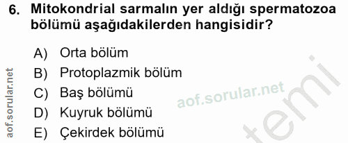 6. soru: Mitokondrial sarmalın yer aldığı spermatozoa bölümü aşağıdakilerden hangisidir? A) Orta bölüm B) Protoplazmik bölüm C…