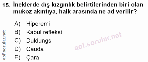 15. soru: İneklerde dış kızgınlık belirtilerinden biri olan mukoz akıntıya, halk arasında ne ad verilir? A) Hiperemi B) Kabul r…