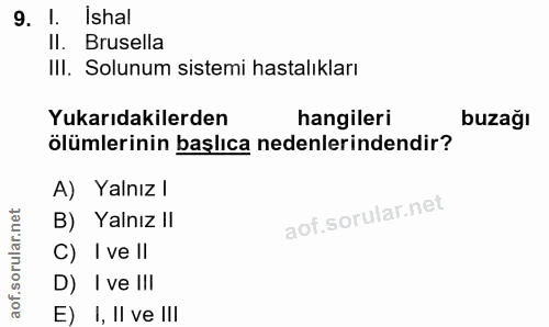 9. soru: 1. Ishal Il. Brusella III. Solunum sistemi hastalıkları Yukarıdakilerden hangileri buzağı ölümlerinin başlıca nedenle…