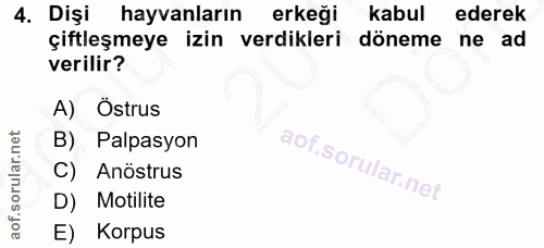 4. soru: Dişi hayvanların erkeği kabul ederek çiftleşmeye izin verdikleri döneme ne ad verilir? A) Östrus B) Palpasyon C) Anös…