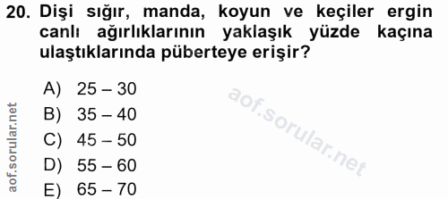 20. soru: Dişi sığır, manda, koyun ve keçiler ergin canlı ağırlıklarının yaklaşık yüzde kaçına ulaştıklarında püberteye erişir?…