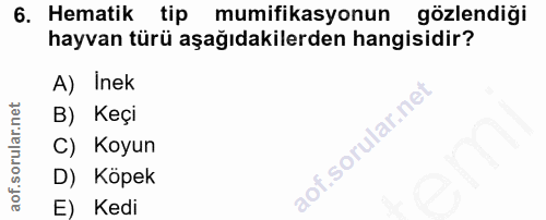 6. soru: Hematik tip mumifikasyonun gözlendiği hayvan türü aşağıdakilerden hangisidir? A) Inek B) Keçi C) Koyun aof.sorular.ne…