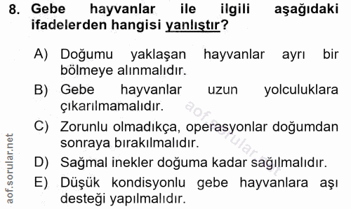 8. soru: Gebe hayvanlar ile ilgili aşağıdaki ifadelerden hangisi yanlıştır? A) Doğumu yaklaşan hayvanlar ayrı bir bölmeye alın…
