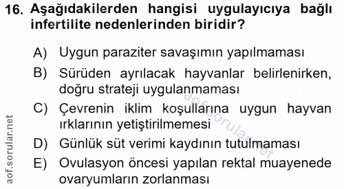 16. soru: Aşağıdakilerden hangisi uygulayıcıya bağlı infertilite nedenlerinden biridir? A) Uygun paraziter savaşımın yapılmamas…