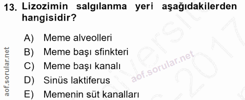 13. soru: Lizozimin salgılanma yeri aşağıdakilerden hangisidir? A) Meme alveolleri Meme başı sfinkteri C) Meme başı kanalı D) S…