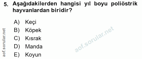 5. soru: Aşağıdakilerden hangisi yıl boyu poliöstrik hayvanlardan biridir? A) Keçi B) Köpek C) Kısrak D) Manda E) Koyun