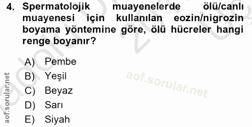 4. soru: Spermatolojik muayenelerde ölü/canlı muayenesi için kullanılan eozin/nigrozin boyama yöntemine göre, ölü hücreler han…