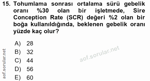 15. soru: Tohumlama sonrası ortalama sürü gebelik oranı %30| olan bir işletmede, Sire Conception Rate (SCR) değeri %2 olan bir…