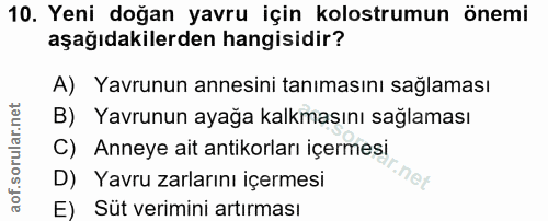 10. soru: Yeni doğan yavru için kolostrumun önemi aşağıdakilerden hangisidir? A) Yavrunun annesini tanımasını sağlaması B) Yavr…