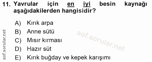 11. soru: Yavrular için en iyi besin kaynağı aşağıdakilerden hangisidir? A) Kırık arpa B) Anne sütür C) Mısır kırması D) Hazır…