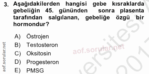 3. soru: Aşağıdakilerden hangisi gebe kisraklarda gebeliğin 45. gününden sonra plasenta tarafından salgılanan, gebeliğe özgü b…