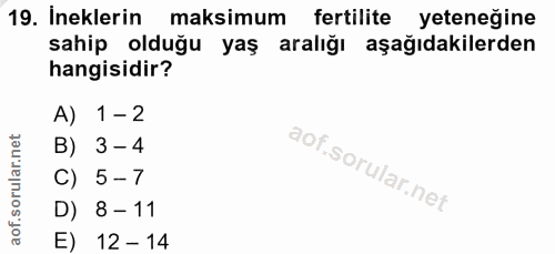 19. soru: İneklerin maksimum fertilite yeteneğine sahip olduğu yaş aralığı aşağıdakilerden hangisidir? A) 1-2 B) 3-4 C) 5-7 D)…