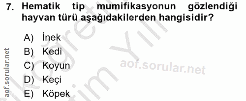 7. soru: Hematik tip mumifikasyonun gözlendiği hayvan türü aşağıdakilerden hangisidir? A) Inek B) Kedi C) Koyun D) Keçi E) Köpek