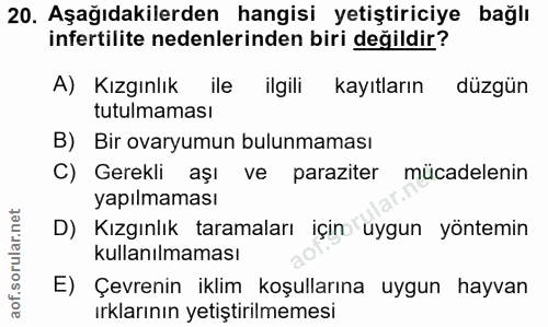 20. soru: Aşağıdakilerden hangisi yetiştiriciye bağlı infertilite nedenlerinden biri değildir? A) Kızgınlık ile ilgili kayıtlar…