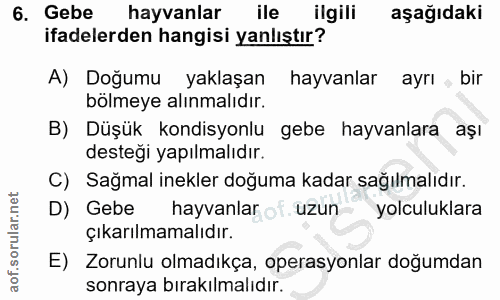 6. soru: Gebe hayvanlar ile ilgili aşağıdaki ifadelerden hangisi yanlıştır? A) Doğumu yaklaşan hayvanlar ayrı bir bölmeye alın…