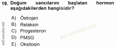 19. soru: Doğum sancılarını başlatan hormon aşağıdakilerden hangisidir? A) Ostrojen B) Reaksin C) Progesteron D) PMSG E) Oksitosin