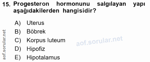 15. soru: Progesteron hormonunu salgılayan yapı aşağıdakilerden hangisidir? A) Uterus B) Böbrek C) Korpus luteum D) Hipofiz E)…