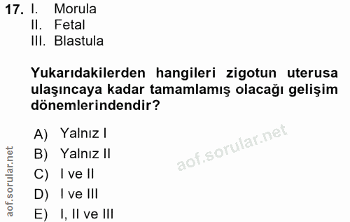 17. soru: I. Morula II. Fetal IlI. Blastula Yukarıdakilerden hangileri zigotun uterusa ulaşıncaya kadar tamamlamış olacağı geli…