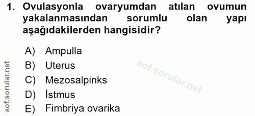 1. soru: Ovulasyonla ovaryumdan atılan ovumun yakalanmasından sorumlu olan yapı aşağıdakilerden hangisidir? A) Ampulla B) Uter…