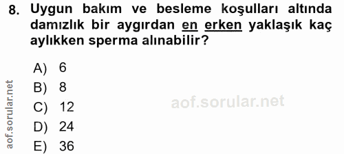 8. soru: Uygun bakım ve besleme koşulları altında damızlık bir aygırdan en erken yaklaşık kaç aylıkken sperma alınabilir? A) 6…