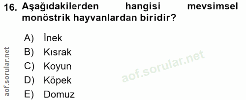 16. soru: Aşağıdakilerden hangisi mevsimsel monöstrik hayvanlardan biridir? A) Inek B) Kısrak C) Koyun D) Köpek E) Domuz