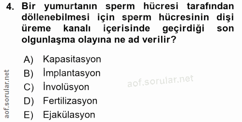 4. soru: Bir yumurtanın sperm hücresi tarafından döllenebilmesi için sperm hücresinin dişi üreme kanalı içerisinde geçirdiği s…
