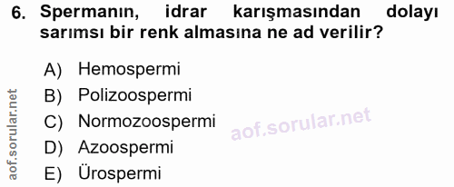 6. soru: Spermanın, Idrar karışmasından dolayı sarımsı bir renk almasına ne ad verilir? A) Hemospermi B) Polizoospermi C) Norm…