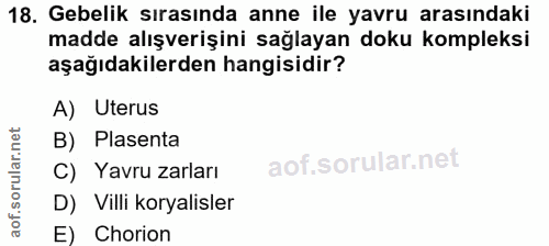 18. soru: Gebelik sırasında anne ile yavru arasındaki madde alışverişini sağlayan doku kompleksi aşağıdakilerden hangisidir? A)…
