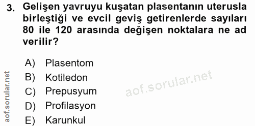 3. soru: Gelişen yavruyu kuşatan plasentanın uterusla birleştiği ve evcil geviş getirenlerde sayıları 80 ile 120 arasında deği…