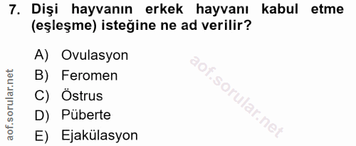 7. soru: Dişi hayvanın erkek hayvanı kabul etme (eşleşme) istegine ne ad verilir? A) Ovulasyon B) Feromen S C) Östrus D) Püber…