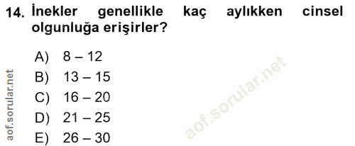 14. soru: İnekler genellikle kaç aylıkken cinsel olgunluğa erişirler? A) 8 - 12 13 - 15 C) 16 - 20 D) 21 - 25 E) 26 - 30