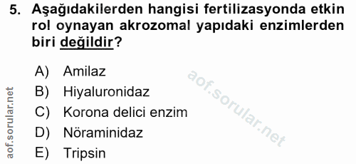 5. soru: Aşağıdakilerden hangisi fertilizasyonda etkin rol oynayan akrozomal yapıdaki enzimlerden biri değildir? A) Amilaz B)…